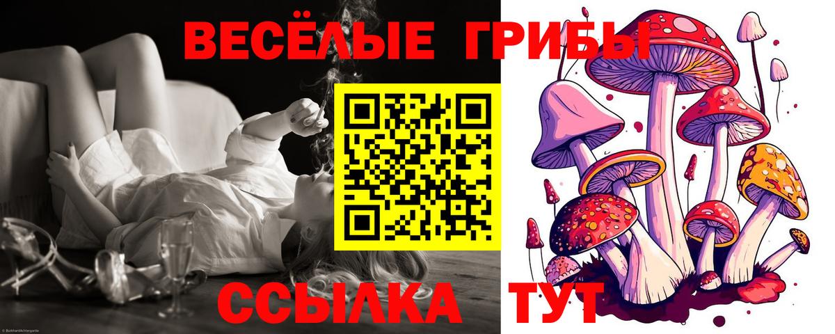 Петропавловск-Камчатский  Галлюциногенные грибы мицелий  Вход с VPN 